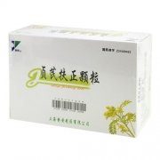 【静牌】贞芪扶正颗粒价格¥22.90，购买药店 北京美信康年大药房，使用说明书